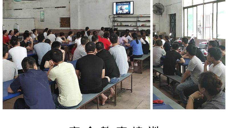 自考本科与专升本：揭秘哪种途径更快拿证